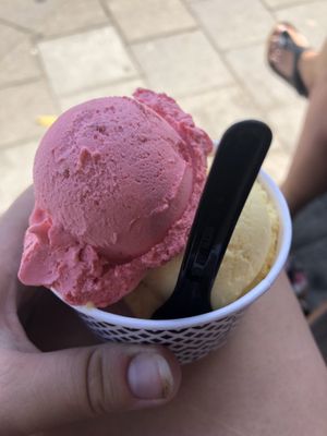 Raspberry and passionfruit flavour sorbet at De Ijswinckel in Goes