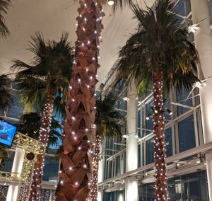 cafe tosca interior at Cafe Tosca in Yokohama