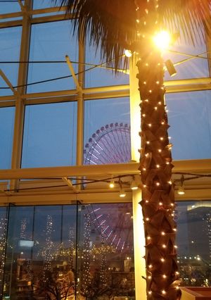 ferris wheel outside hotel at Cafe Tosca in Yokohama