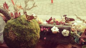 Window display at Un Dulce de la Vlad Muresan in Cluj-napoca