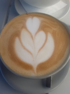 Oat Milk Latte 🤤 at Parakeet Cafe in Del Mar