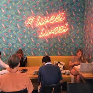 Wall inside  at Parakeet Cafe in Del Mar