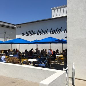 Outdoor seating area at Parakeet Cafe in Del Mar