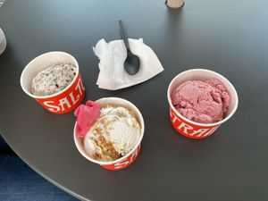 Freckled mint Tcho-colate chip(mint choc chip), Lemon cheesecake crumble and strawberry + coconut water sorbet at Salt & Straw in Del Mar