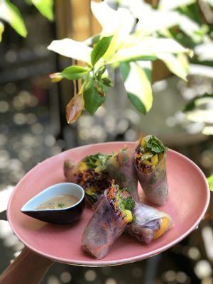 Veggies spring rool  at Ellie's Cafe in Hoi An