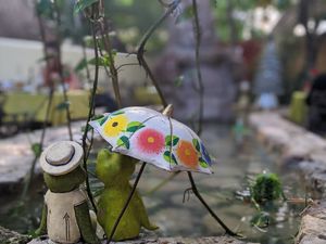 Garden at El Atrio del Mayab in Valladolid