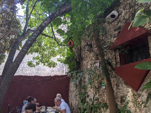 Courtyard at El Atrio del Mayab in Valladolid