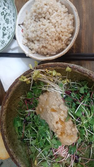 Bibimbap - they gave us the rice substitute to mix in separately at Memiljaengi - 메밀쟁이 in Seoul