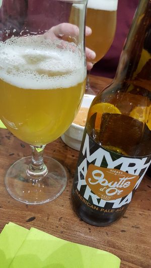 French craft beer at Bulldog Vegan in Paris