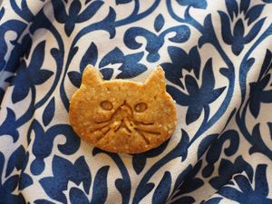  at alt. coffee roasters in Kyoto