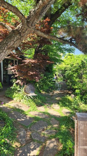 Garden at Kin Cafe 753 in Yokohama