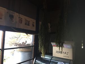 Inside  at Kin Cafe 753 in Yokohama