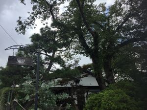 Outside  at Kin Cafe 753 in Yokohama