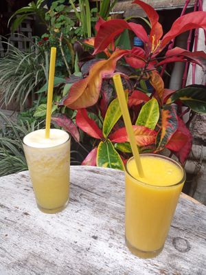  at Persian House in Mindo