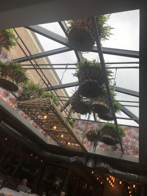 Very modern design at Elephant and The Dove in Skaneateles