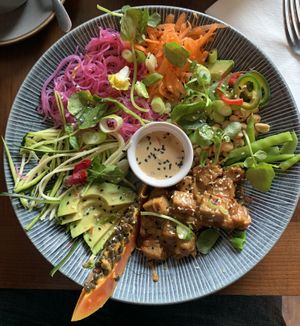 Ped Thai Rice Noodle Salad: red rice noodles, mangetout, edamame beans, avocado, sticky sesame tofu, papaya, micro greens and peanut sauce   at Bio Cafe in Aberdeen