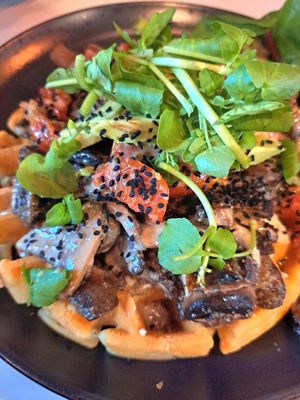  at Bio Cafe in Aberdeen