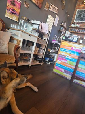  at Bio Cafe in Aberdeen