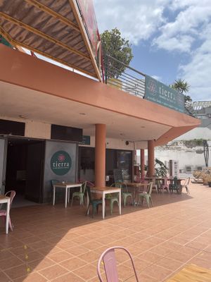   at Tierra in Tenerife