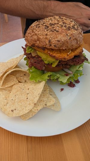  at Tierra in Tenerife