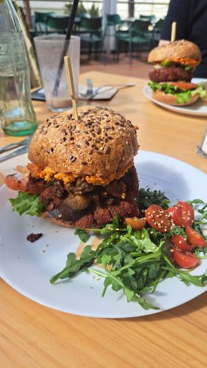  at Tierra in Tenerife