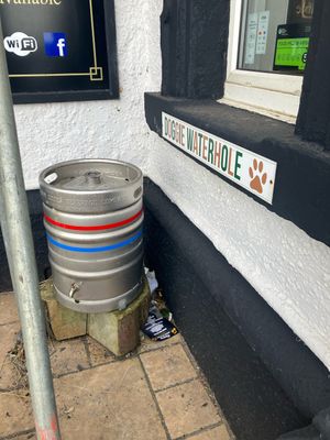 Dog waterhole  at The Waterford Arms in Whitley Bay