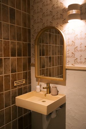 Bathroom at Cielo Rojo in Takoma Park