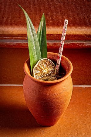 El Pastorito cocktail at Cielo Rojo in Takoma Park