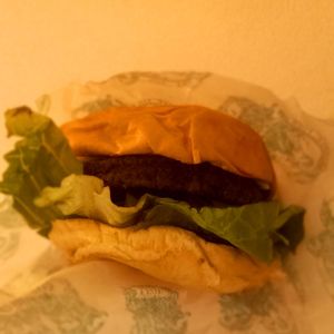  at STN - LEON in Stansted