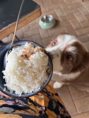 Rice   at Yulli's in Byron Bay