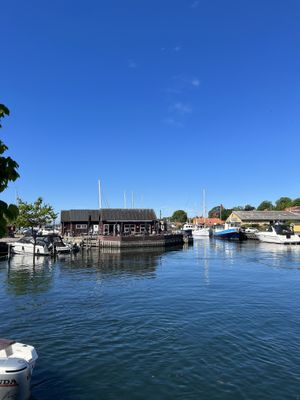 The location   at Solsikken ApS in Skaelskoer