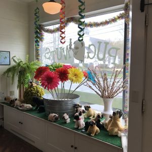 Window display at Pugnuts in Surry