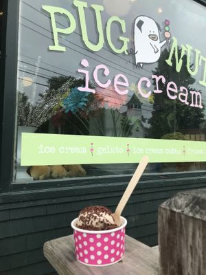 Vegan banana almond & chocolate ice creams with sprinkles at Pugnuts in Surry
