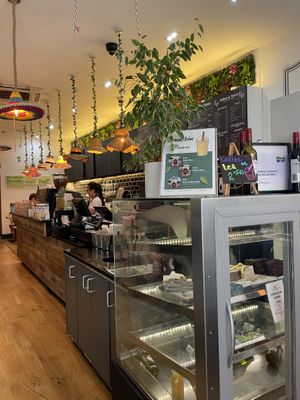   at OctaGreen in South West London