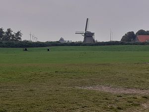 Nice view at Het Veerkwartier in Haarlem