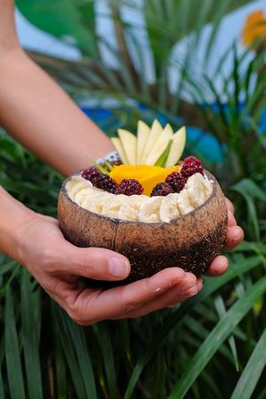 Frozen Bowl at Laylo in Tulum