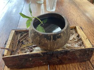 Cacao tea at Laylo in Tulum