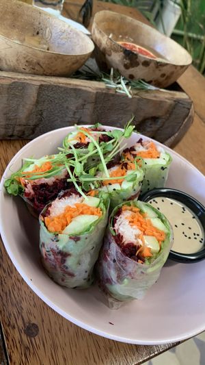 Vietnamese rolls  at Laylo in Tulum