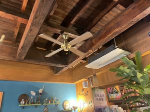 I always like this kind of fan on the ceiling.  at Cafe SIVA 카페 시바 in Seoul