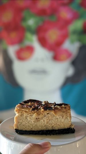 Turtle Cake at Cafe SIVA 카페 시바 in Seoul