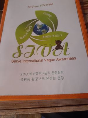  at Cafe SIVA 카페 시바 in Seoul