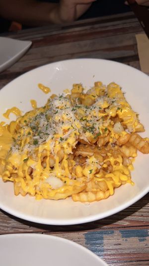   at Cafe SIVA 카페 시바 in Seoul