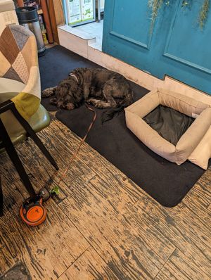  at Cafe SIVA 카페 시바 in Seoul