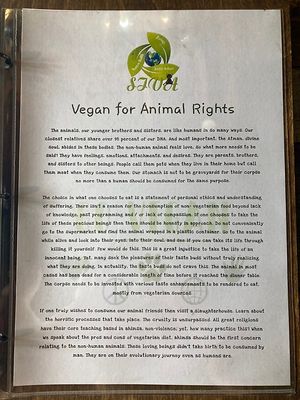   at Cafe SIVA 카페 시바 in Seoul