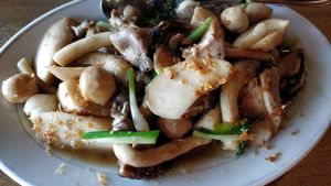Stir fried mushrooms at Italia Gusto in Phetchabun