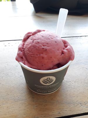Vegan strawberry sorbet at Italia Gusto in Phetchabun