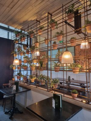  at The Botanist in Coventry