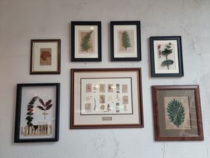  at The Botanist in Coventry