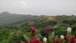 Scenic view from dining area at Rai Chanram in Phetchabun