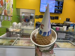 Vegan Soft serve vanilla and chocolate with the freshest waffle cone  at Java Juice Cafe in Flagstaff